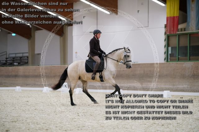 s_K3F02252.JPG